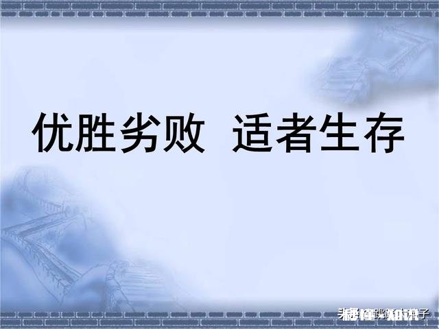 行业竞争越来越激烈，企业如何才能在新时代的竞争中占领先机