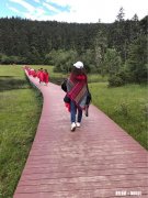 为什么随着年纪的增长，越来越感到孤独，这是很多人将就着结婚的原因吗