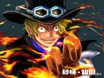 《海贼王》973话同人，革命军四位军队长团灭，龙揍萨博，这个剧情如何