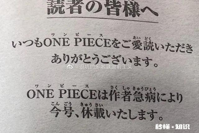 《海贼王》973话同人，革命军四位军队长团灭，龙揍萨博，这个剧情如何
