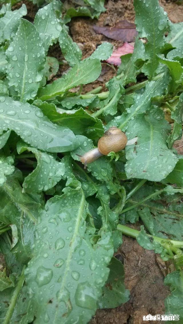 你听过最不堪入耳的一句话是什么如何评价