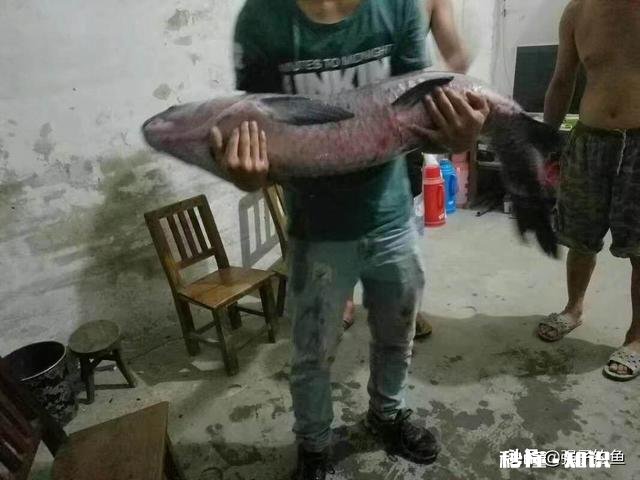 喜欢休闲野钓的人多还是大物黑坑的人多些哪类人群更广