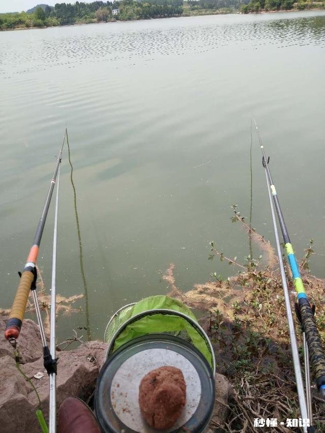 喜欢休闲野钓的人多还是大物黑坑的人多些哪类人群更广