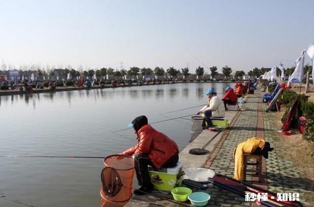 喜欢休闲野钓的人多还是大物黑坑的人多些哪类人群更广