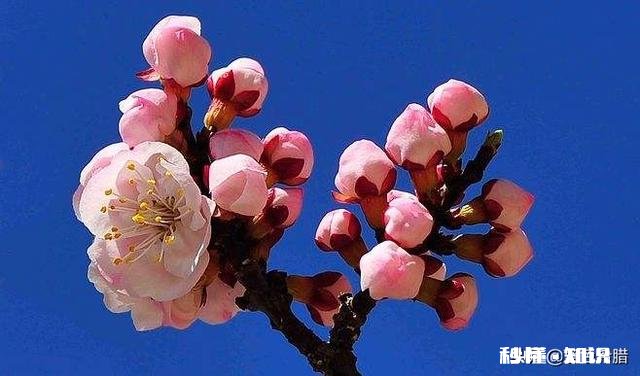 “春季风吹万物生，花红叶绿草青青”，如何用摄影作品，还原出这样的场景