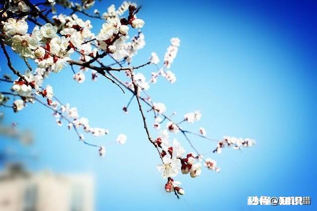 “春季风吹万物生，花红叶绿草青青”，如何用摄影作品，还原出这样的场景