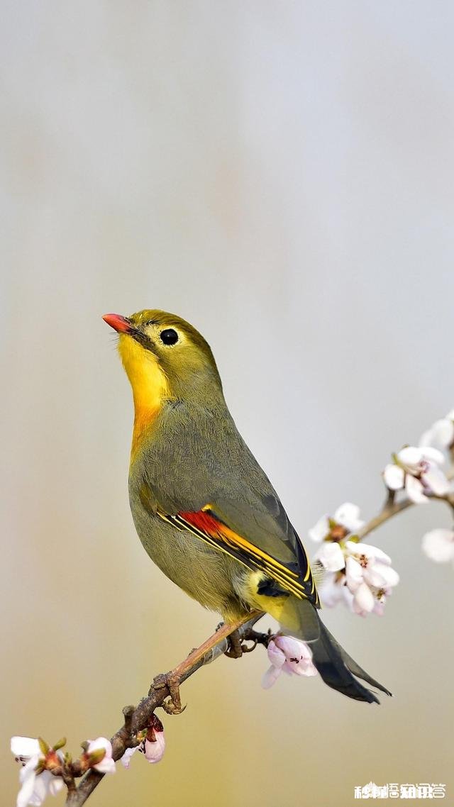 女汉子是男人创造，认同吗