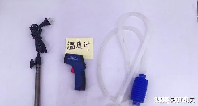 鱼缸的水用什么水好家用的普通自来水可以吗