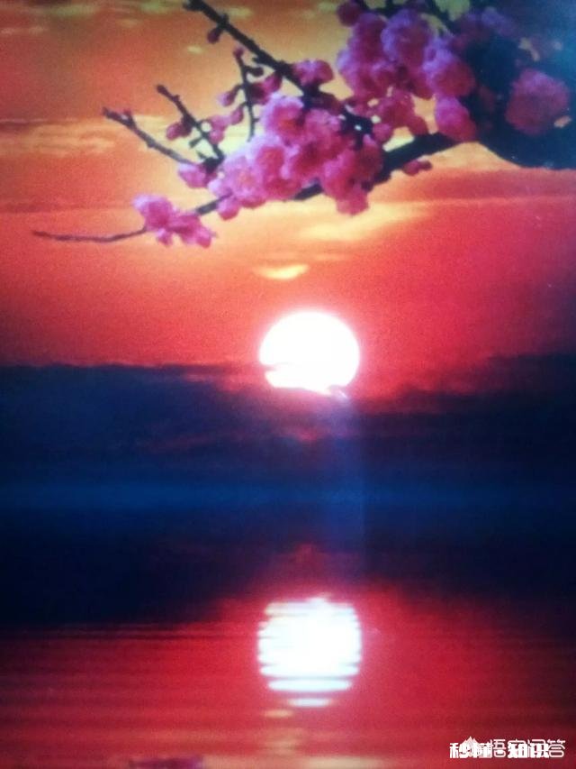 上联：昨晚雨疏润入夜，春草似烟笼，桃花依样红，邀下联