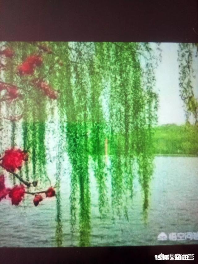 上联：昨晚雨疏润入夜，春草似烟笼，桃花依样红，邀下联