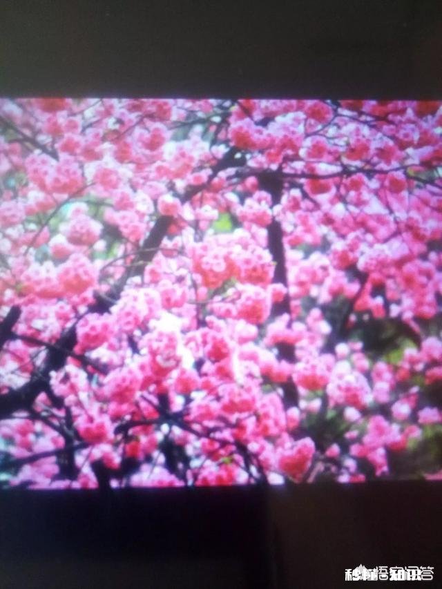 上联：昨晚雨疏润入夜，春草似烟笼，桃花依样红，邀下联