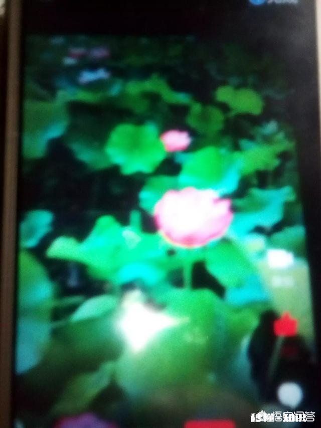 上联：昨晚雨疏润入夜，春草似烟笼，桃花依样红，邀下联