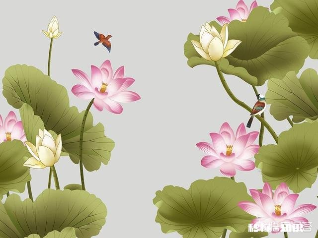 怎样理清“哲理、道理和禅理”三者之间的逻辑关系