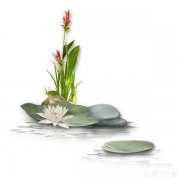 怎样理清“哲理、道理和禅理”三者之间的逻辑关系