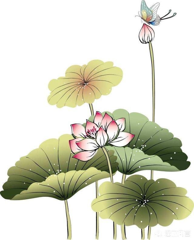 怎样理清“哲理、道理和禅理”三者之间的逻辑关系