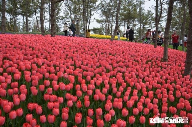 职场中,作为一个人事专员应该具备哪些素质