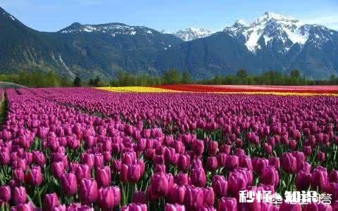 职场中,作为一个人事专员应该具备哪些素质