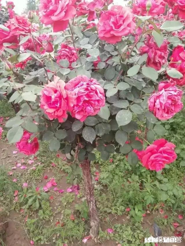 职场中,作为一个人事专员应该具备哪些素质