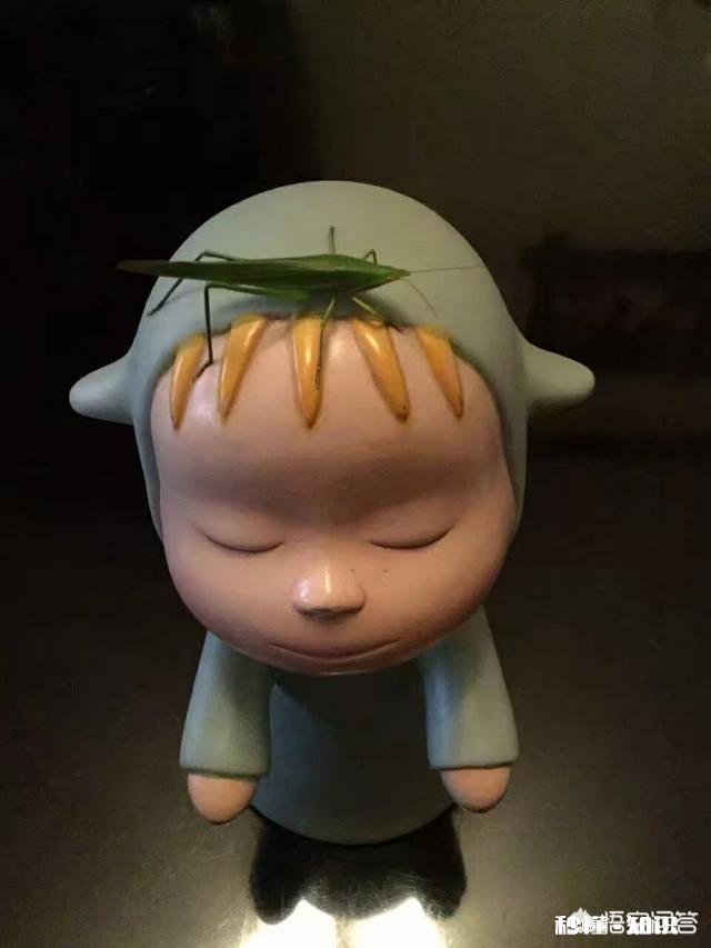 过年你给自己买新衣服了吗你觉得过年有必要一定买新衣服吗