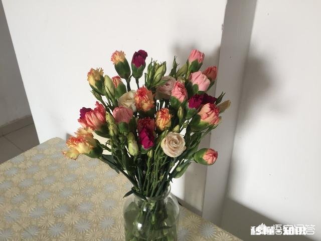 遇到不开心或者烦心事你是如何调整自己的呢