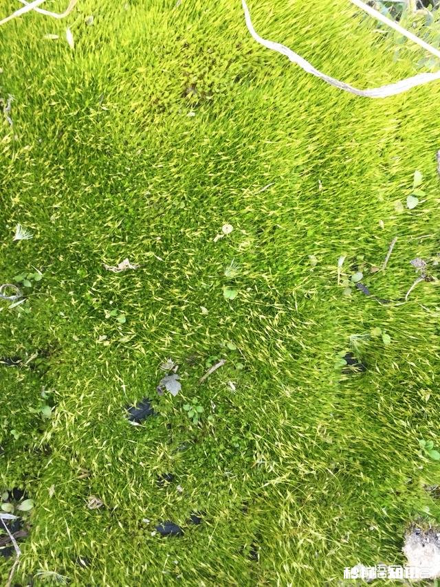 遇到不开心或者烦心事你是如何调整自己的呢