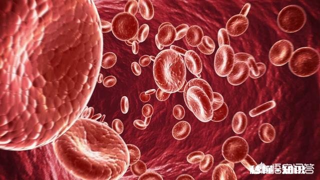 降低甘油三酯的方法有哪些