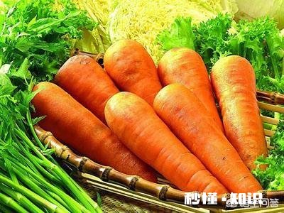 红萝卜可以做成产业吗