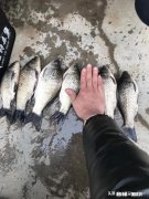 小河里打完草怎么钓鱼