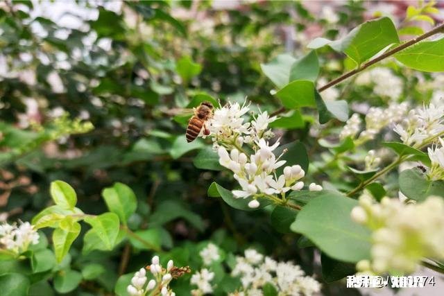 当初促使你做自媒体或小视频的初衷是什么