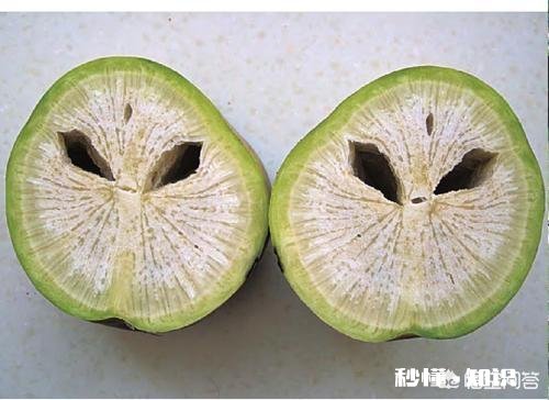 萝卜种植注意事项有哪些