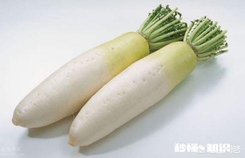 萝卜种植注意事项有哪些