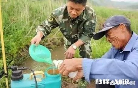 萝卜种植注意事项有哪些