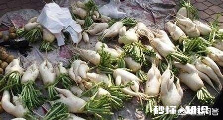 萝卜种植注意事项有哪些