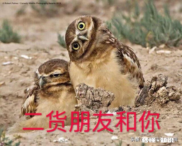 你们会不会删除加了之后一句没聊过天的人，或者是离职的同事