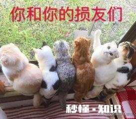 你们会不会删除加了之后一句没聊过天的人，或者是离职的同事