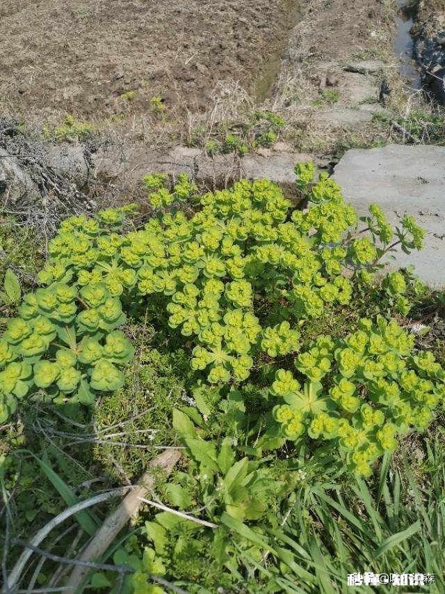 为什么越长大越不喜欢说谎了