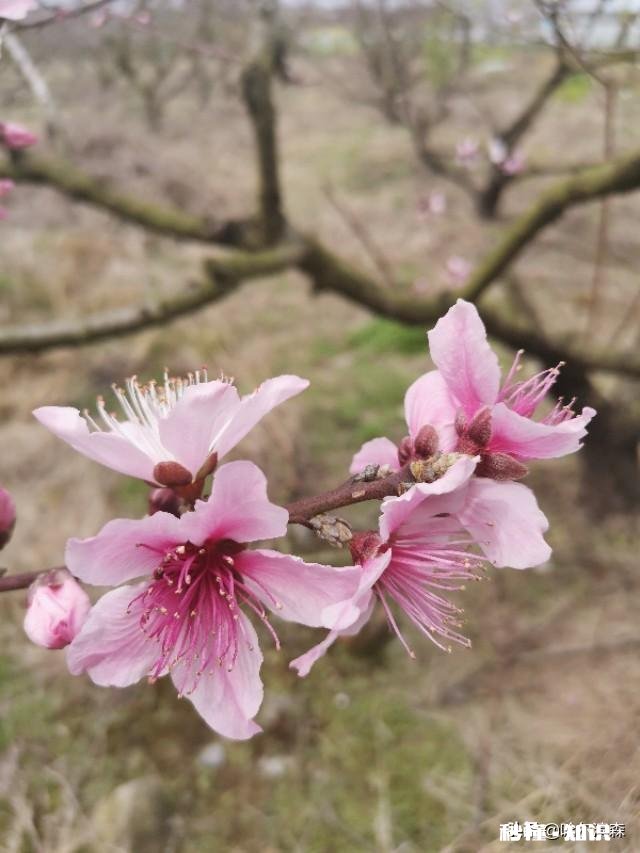 为什么越长大越不喜欢说谎了