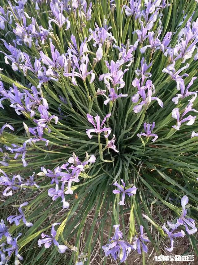 一家三口 一个月1000元伙食费,还得荤素搭配,能安排吗