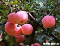 上联：今日春天彩笔难绘，求下联