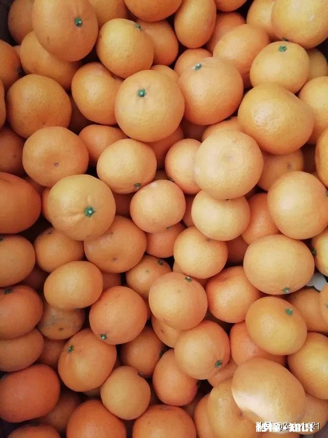 食物、果实、树木、花卉或植物 你乡村童年里深刻的芬香的味道是什么