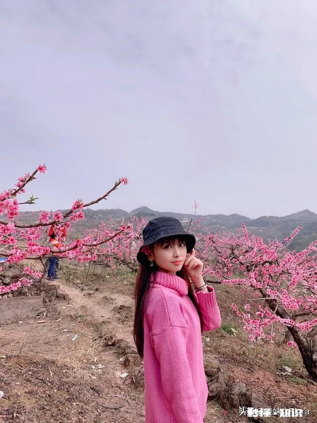 头条有美文吗没有简单的名,有的只有三言两语只为吸睛的标题