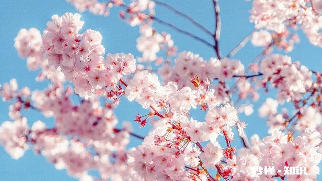 头条有美文吗没有简单的名,有的只有三言两语只为吸睛的标题