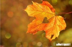 人都会迷茫，迷茫的源头是怎样产生的