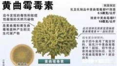 吃了含黄曲霉素的变质食品会致病吗