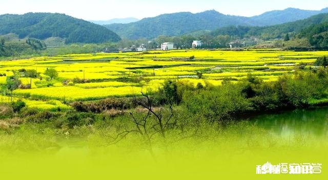 乡村旅游发展中，休闲农业如何做好农旅融合