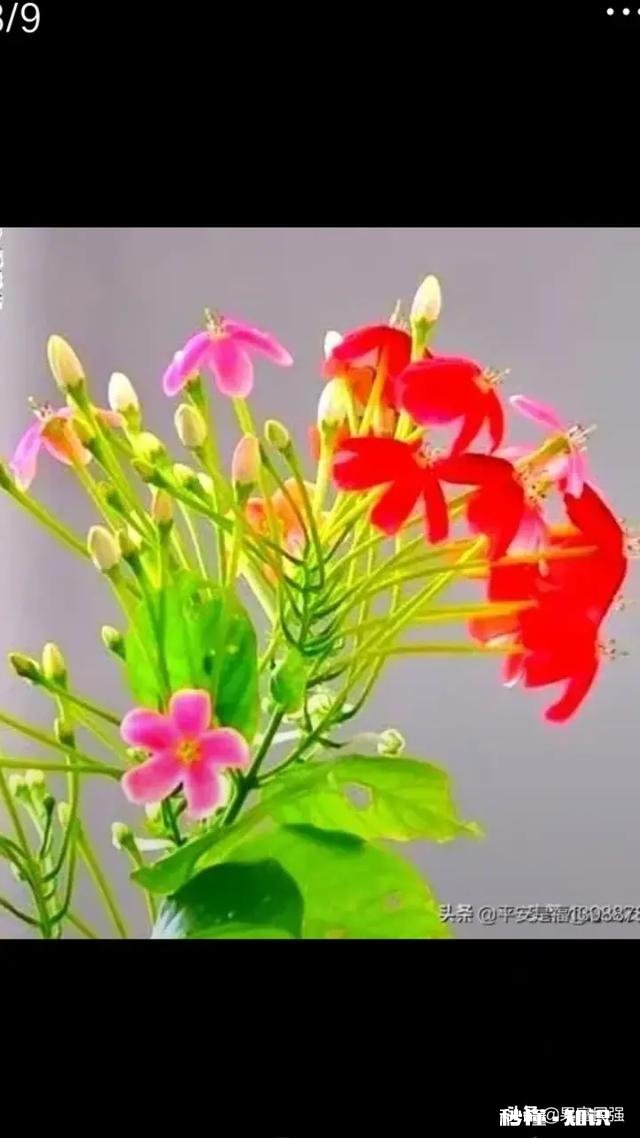 如果你有心理问题，你会选择和谁倾诉为何