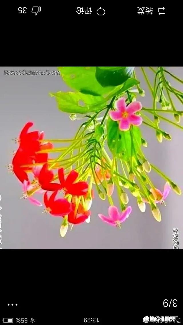 如果你有心理问题，你会选择和谁倾诉为何