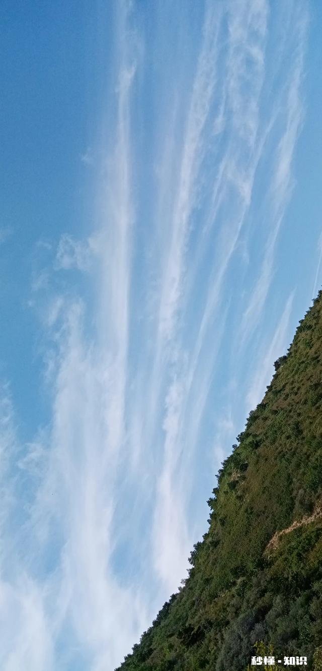 露从今夜白，月是故乡明，以一首思亲诗来解读杜甫为何被称为诗圣