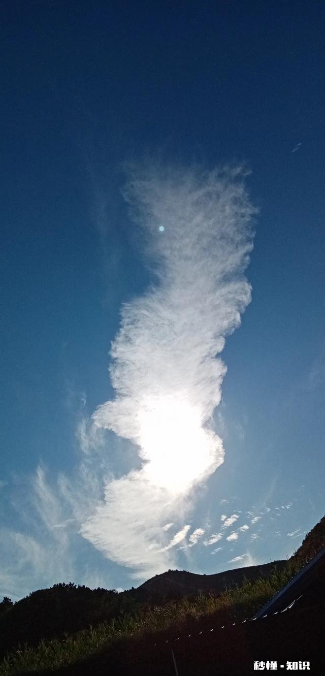 露从今夜白，月是故乡明，以一首思亲诗来解读杜甫为何被称为诗圣