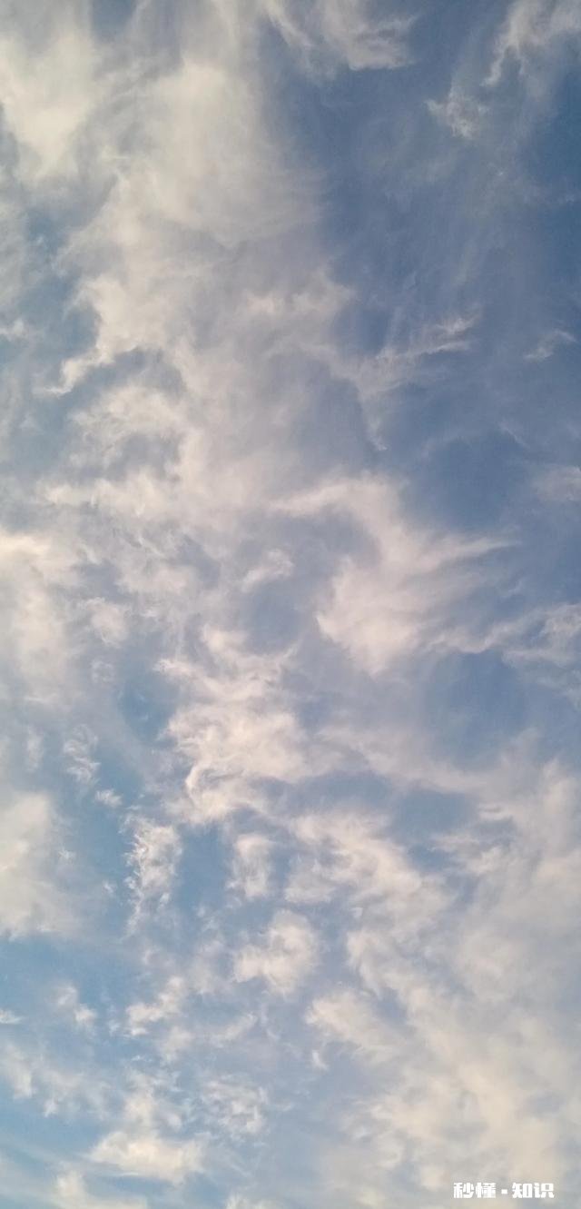 露从今夜白，月是故乡明，以一首思亲诗来解读杜甫为何被称为诗圣